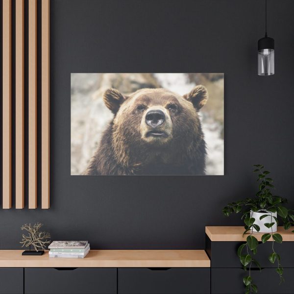 91638-219.jpg Head of Grizzly Bear Standard Canvas