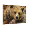 91638-220.jpg Bear is Resting Standard Canvas