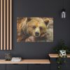 91638-223.jpg Bear is Resting Standard Canvas