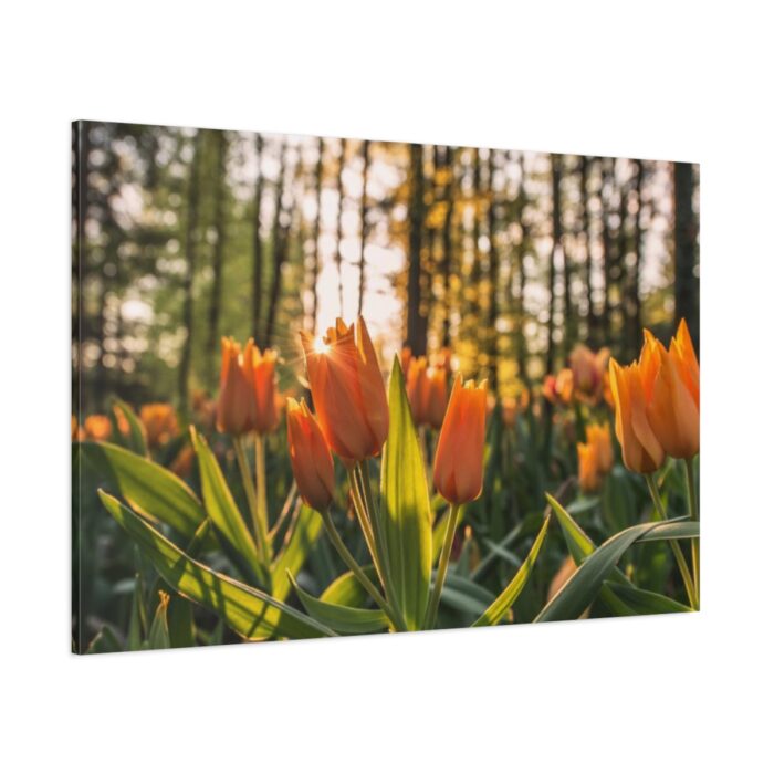 Blooming Orange Tulips Standard Canvas - Image 1