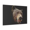 Face of Bear Standard Canvas