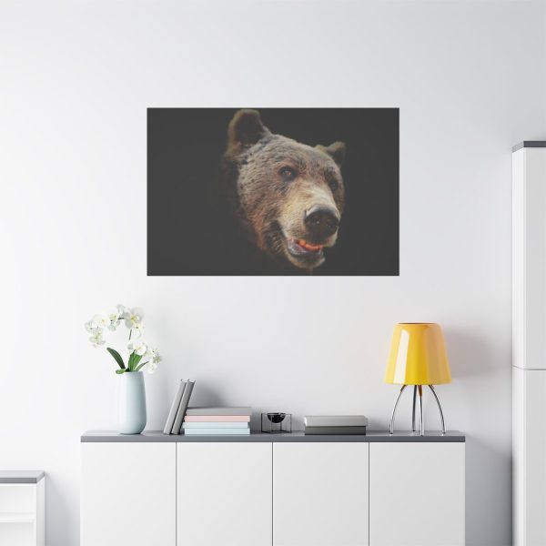 Face of Bear Standard Canvas