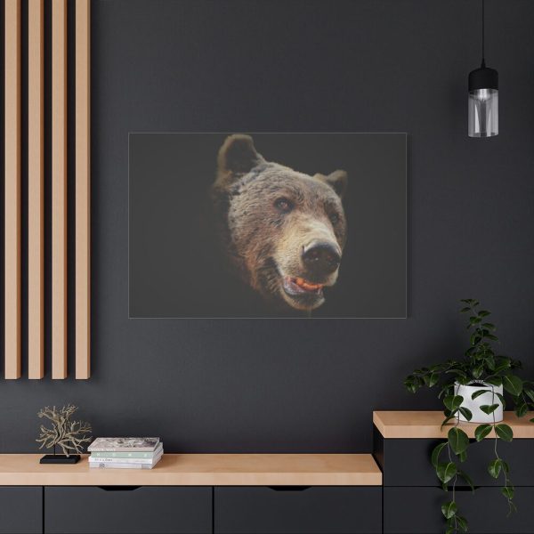 Face of Bear Standard Canvas