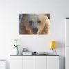 91638-234.jpg Bear Close up Standard Canvas