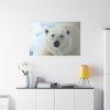 91638-238.jpg Polar Bear Close up Standard Canvas