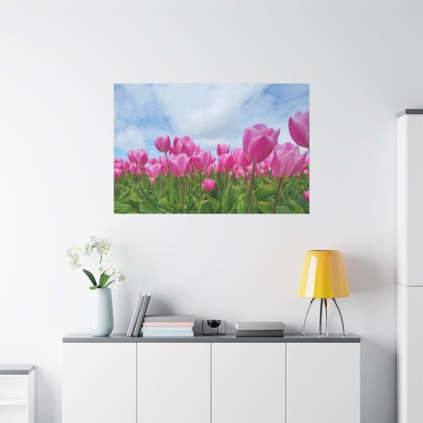 Pink Tulip Standard Canvas