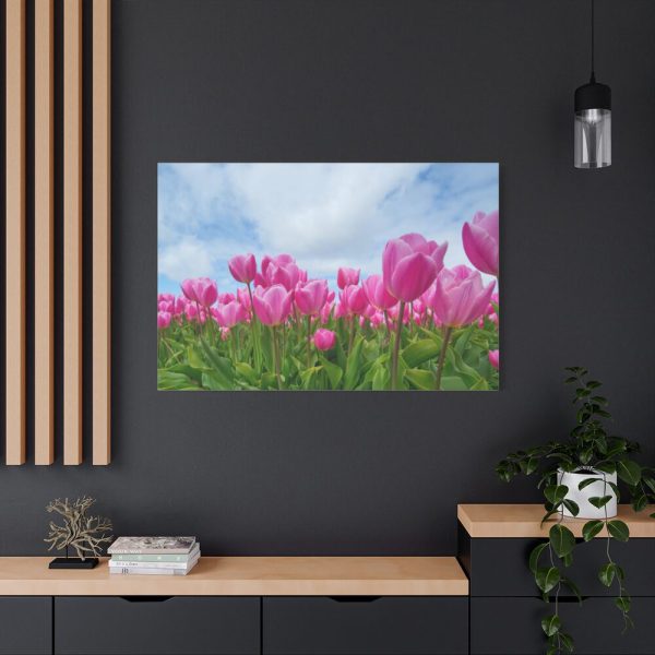 Pink Tulip Standard Canvas