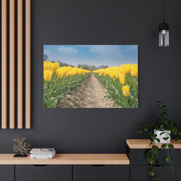 91638-247.jpg Yellow Tulip Standard Canvas