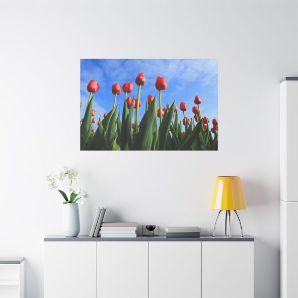 Red Tulip Standard Canvas