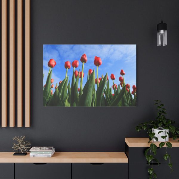 Red Tulip Standard Canvas