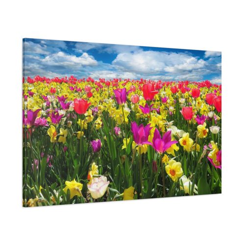 91638-252.jpg Tulips Beautiful Standard Canvas