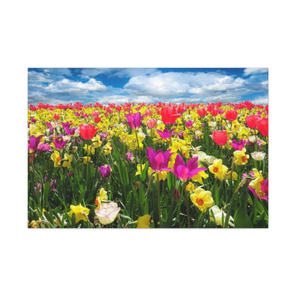 Tulips Beautiful  Standard Canvas