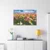 Tulips Beautiful  Standard Canvas