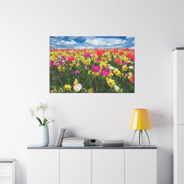 Tulips Beautiful  Standard Canvas