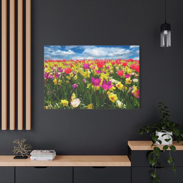 Tulips Beautiful  Standard Canvas