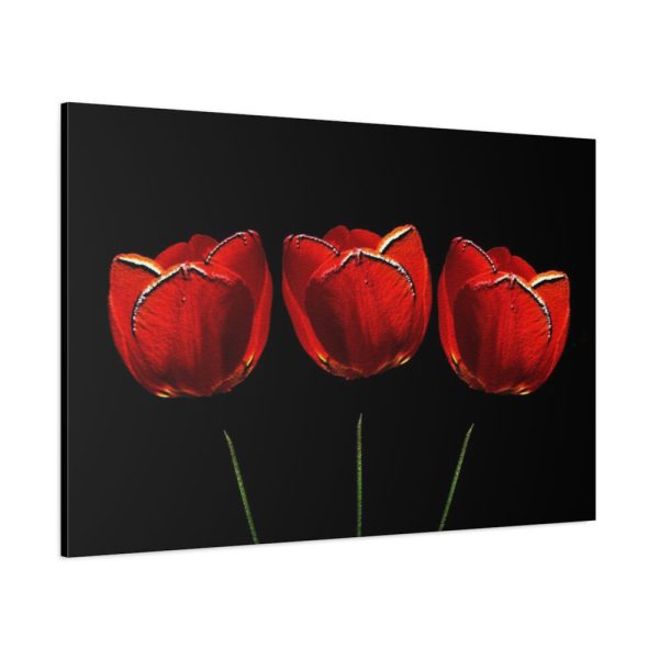 Flowering Plant Standard Canvas