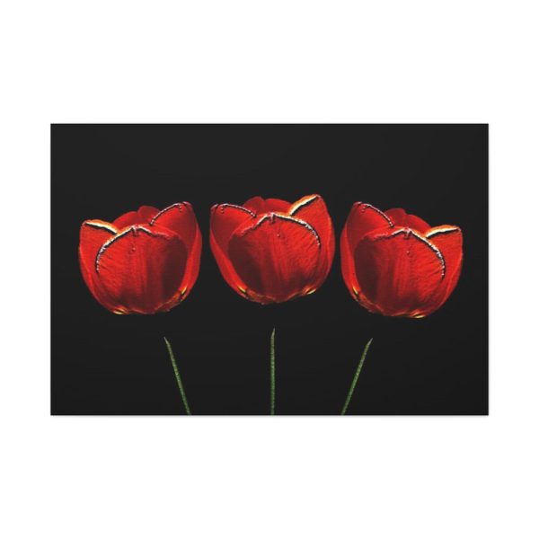 Flowering Plant Standard Canvas