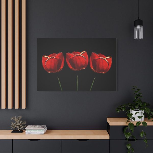 Flowering Plant Standard Canvas