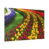 91638-260.jpg Beautiful Blossoms Standard Canvas