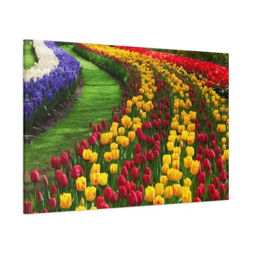 91638-260.jpg Beautiful Blossoms Standard Canvas