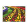91638-261.jpg Beautiful Blossoms Standard Canvas