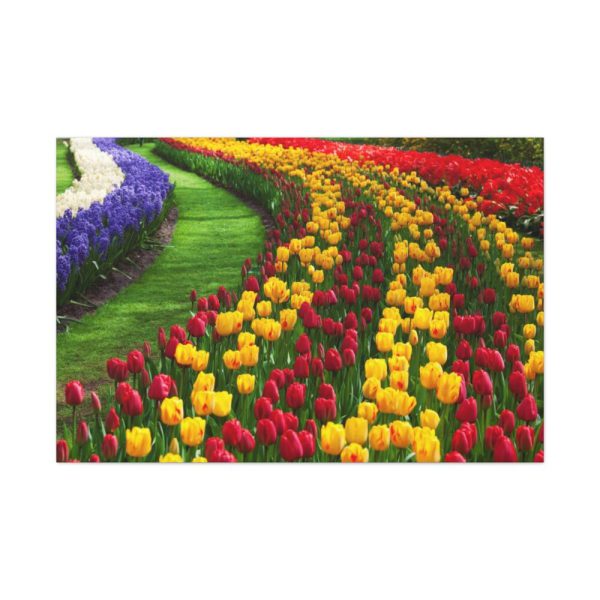 91638-261.jpg Beautiful Blossoms Standard Canvas