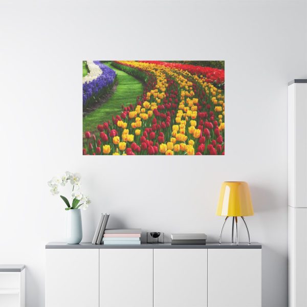 91638-262.jpg Beautiful Blossoms Standard Canvas