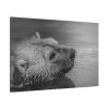91638-264.jpg Polar Bear Black and White Standard Canvas