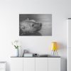 91638-266.jpg Polar Bear Black and White Standard Canvas