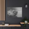91638-267.jpg Polar Bear Black and White Standard Canvas