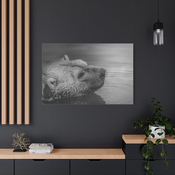 91638-267.jpg Polar Bear Black and White Standard Canvas