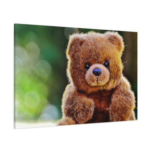 91638-268.jpg Cute Teddy Bear Standard Canvas