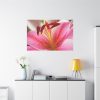 Colorful Pink Standard Canvas