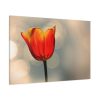 91638-276.jpg Sunny Standard Canvas
