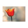 91638-277.jpg Sunny Standard Canvas