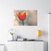 91638-278.jpg Sunny Standard Canvas