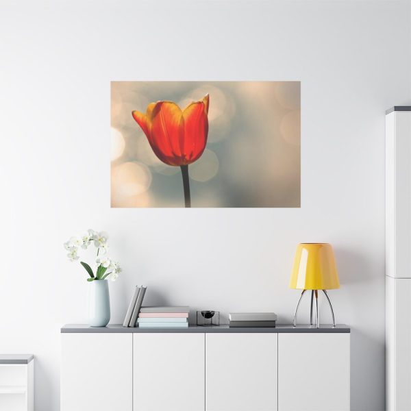 91638-278.jpg Sunny Standard Canvas