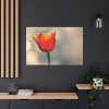 91638-279.jpg Sunny Standard Canvas