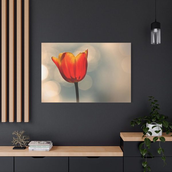 91638-279.jpg Sunny Standard Canvas
