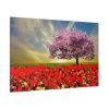 Signs of Spring Standard Canvas