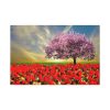 Signs of Spring Standard Canvas