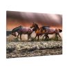 91638-285.jpg Australian Horses Standard Canvas