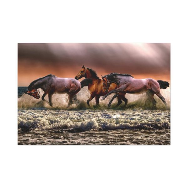 91638-286.jpg Australian Horses Standard Canvas