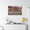 91638-287.jpg Australian Horses Standard Canvas