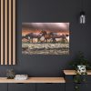 91638-288.jpg Australian Horses Standard Canvas
