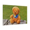 Bear with a Hat Standard Canvas
