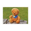 Bear with a Hat Standard Canvas