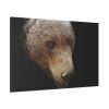 91638-310.jpg Bear Head Artistic Standard Canvas