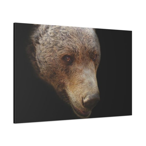 91638-310.jpg Bear Head Artistic Standard Canvas