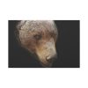 91638-311.jpg Bear Head Artistic Standard Canvas